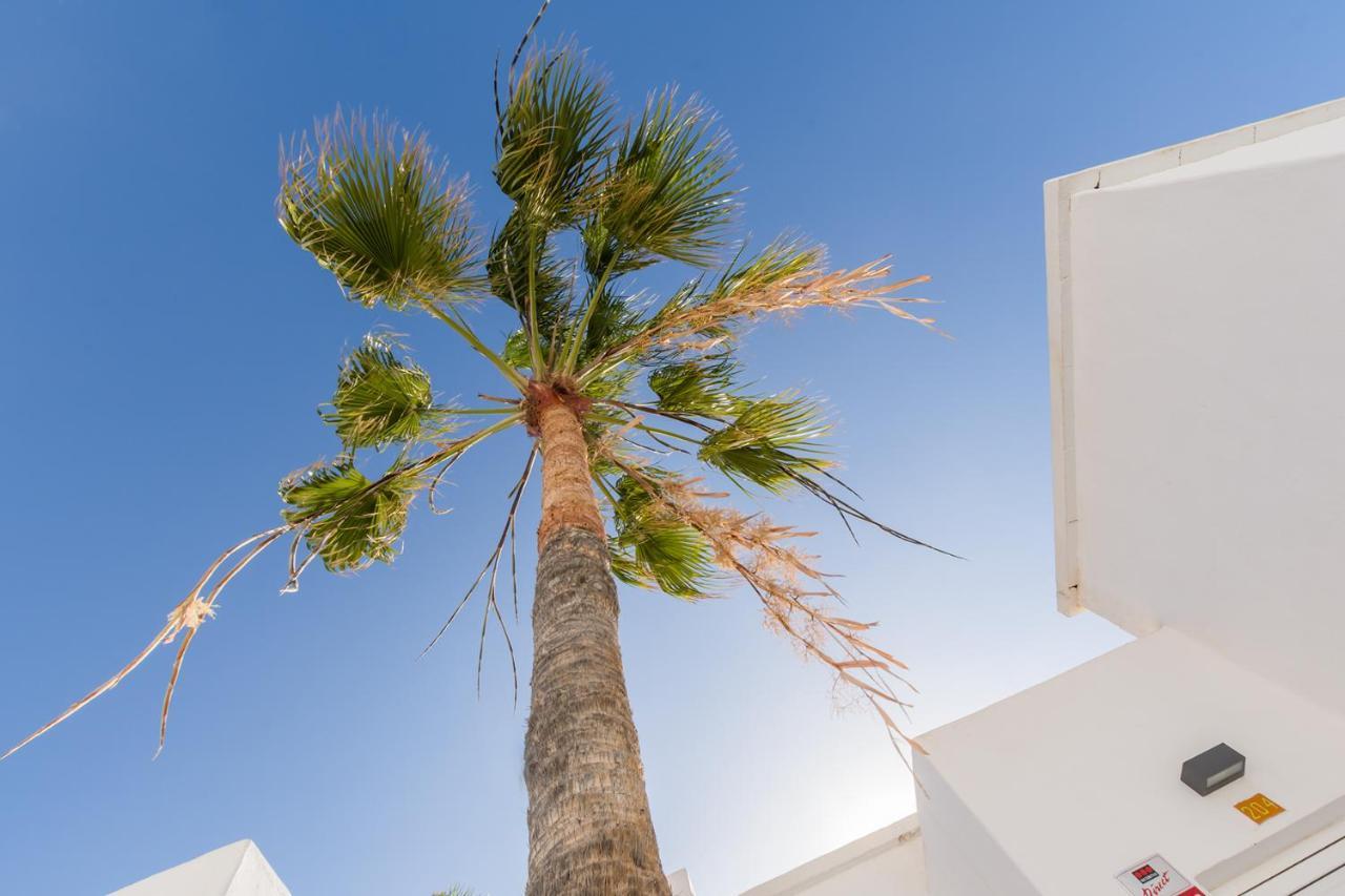 Conylanza Tabayba Blue Lägenhet Costa Teguise Exteriör bild